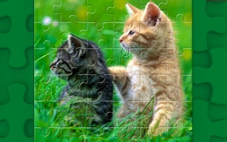 Funny Kitty Puzzle