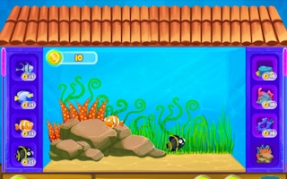 My Dream Aquarium