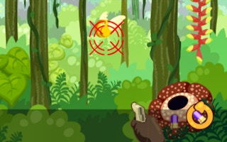 Rain Forest Hunter