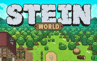 stein.world